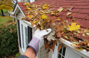 Common Gutter Cleaning Mistakes gutter freedom